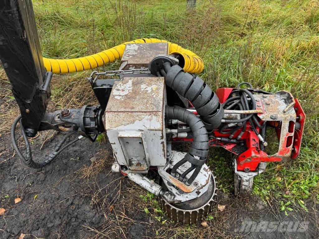 Malwa 560.4 H Harversteri