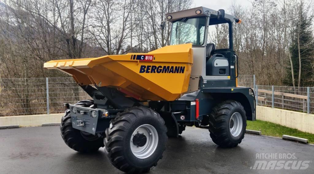 Bergmann C810s Zglobni demperi