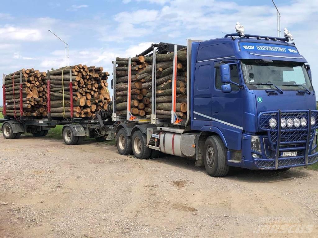 Volvo FH 16 750 Kamioni za drva