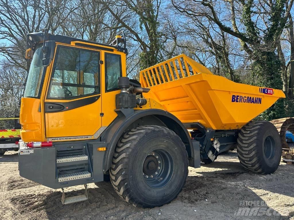 Bergmann C815S Zglobni demperi