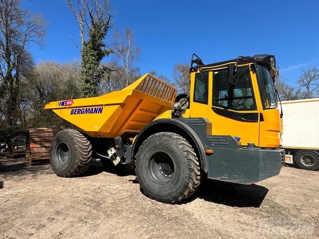 Bergmann C815S Zglobni demperi