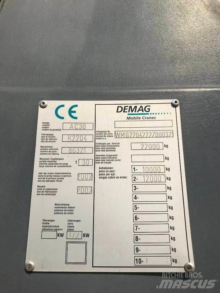 Demag ac30 Rabljene dizalice za težak teren