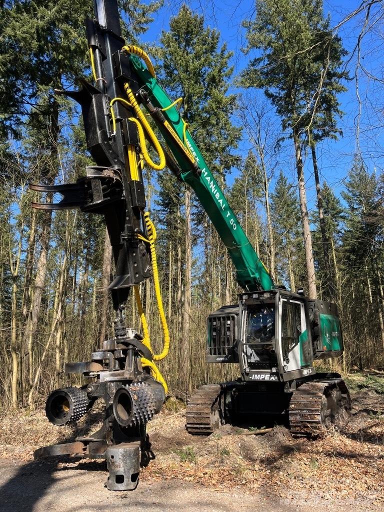 Impex Hannibal T50 Harversteri