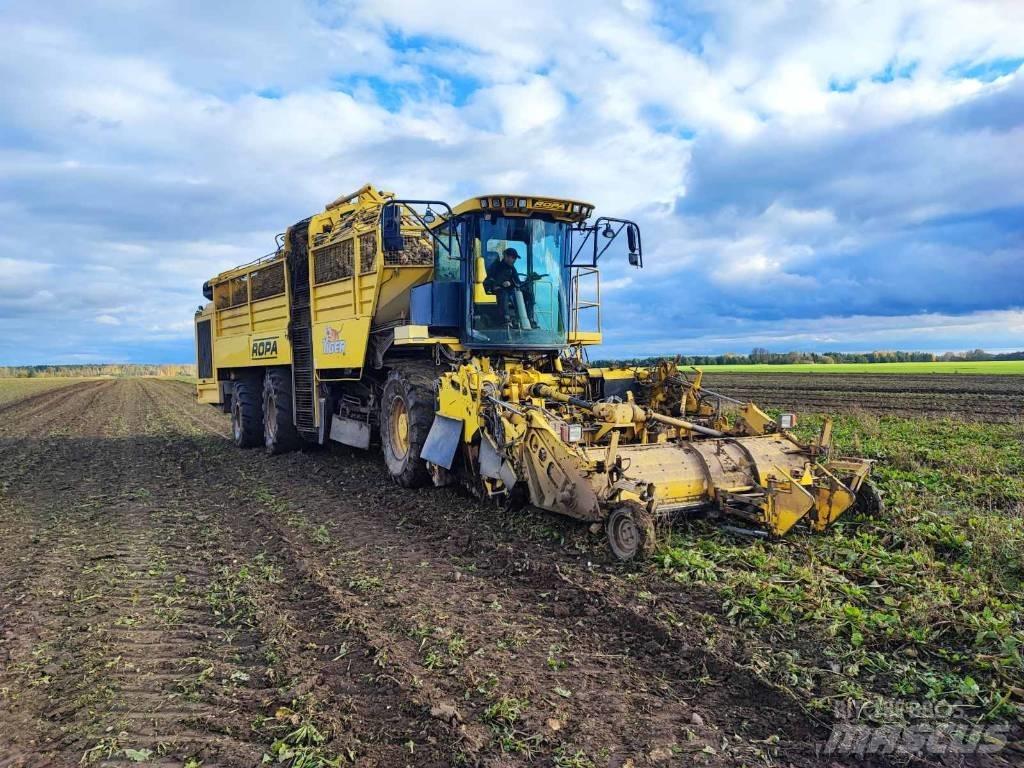 Ropa Tiger 4 Kombajni za repu