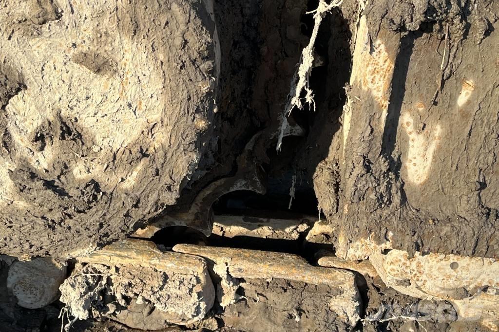 CASE CX 235 C Bageri gusjeničari