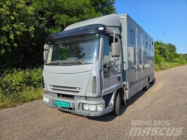 Iveco E 75 Kamioni za transport stoke