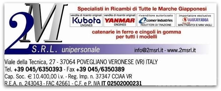 Yanmar TNV Motori