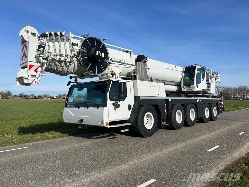 Liebherr LTM1250-5.1 Rabljene dizalice za težak teren