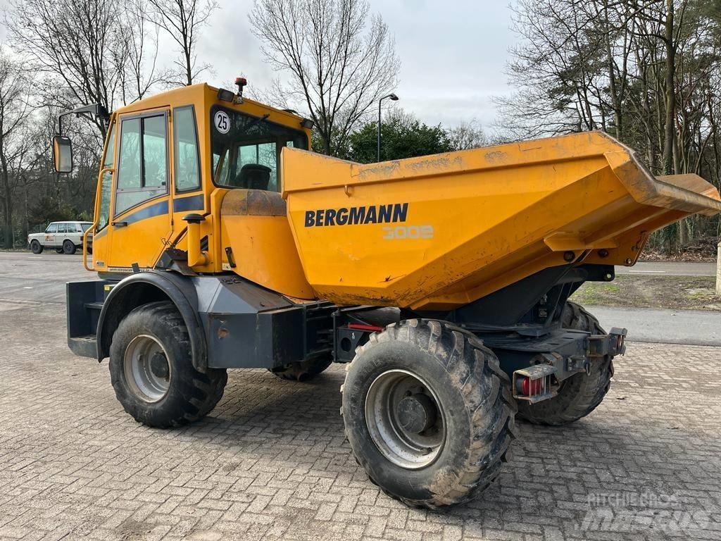 Bergmann 3009 R Zglobni demperi