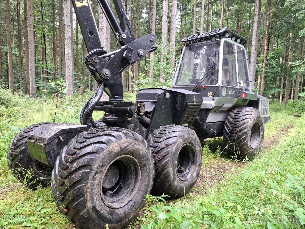 Malwa 560.3 H Harversteri