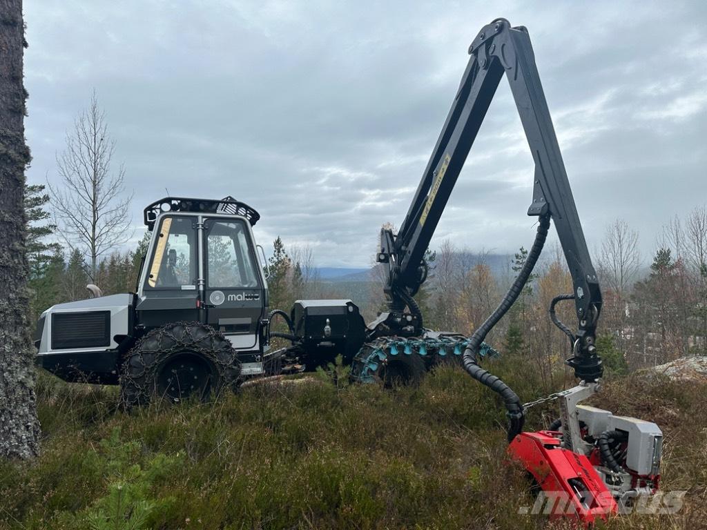 Malwa 560.4 H Harversteri