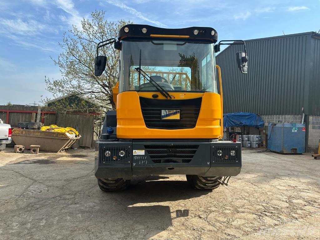 Bergmann C815S Zglobni demperi