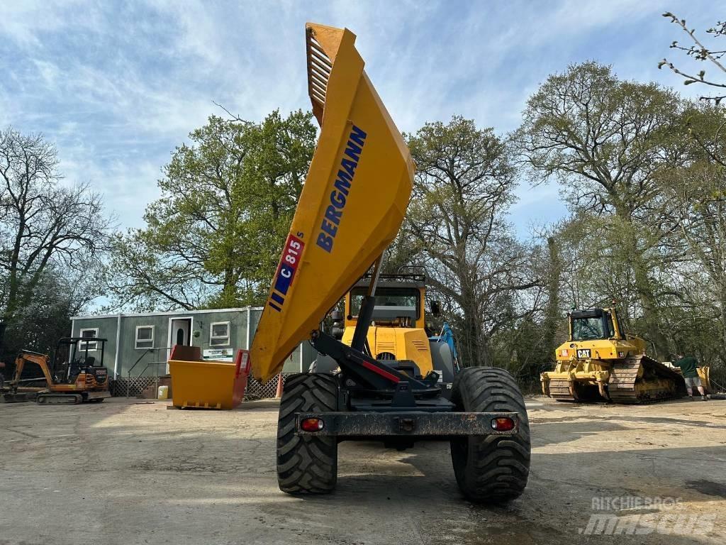 Bergmann C815S Zglobni demperi