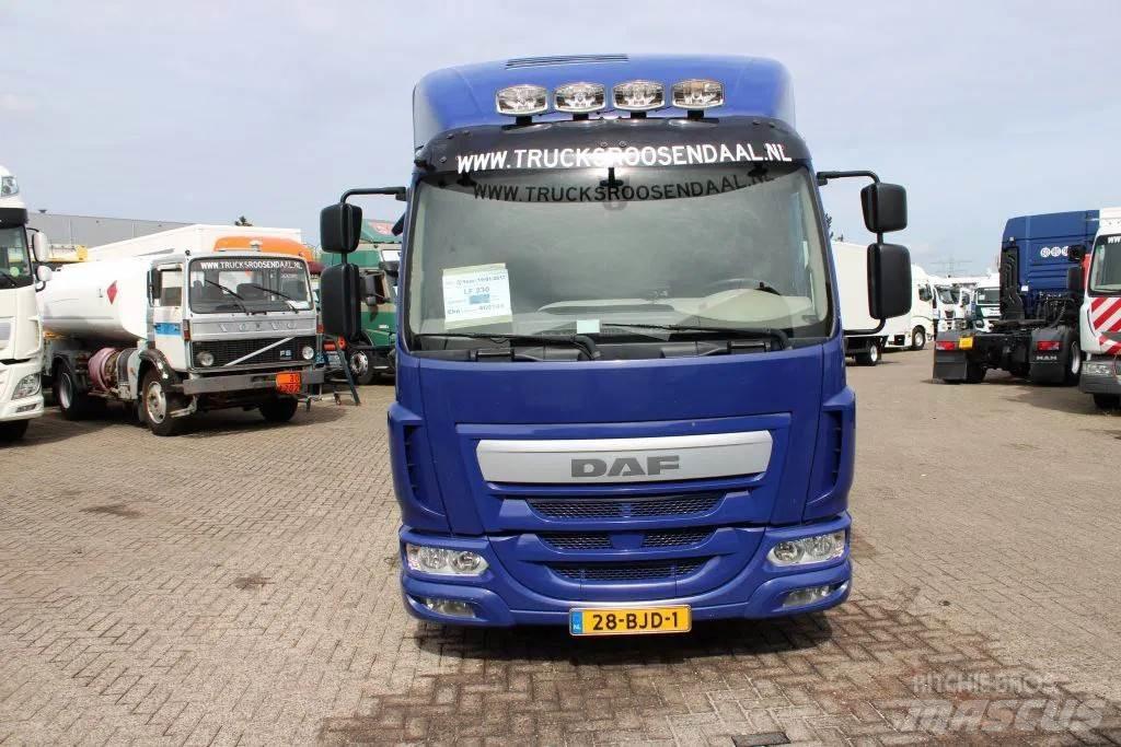 DAF LF 230 + EURO 6 Sanduk kamioni