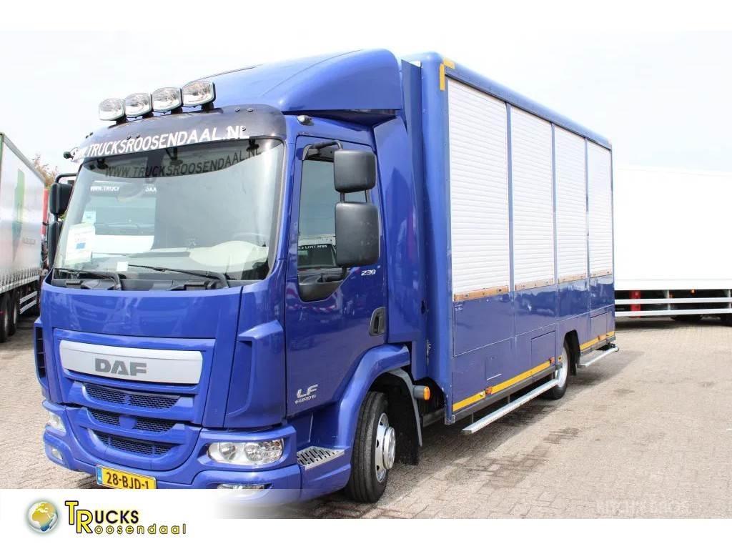 DAF LF 230 + EURO 6 Sanduk kamioni