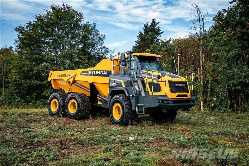 Hyundai HA 30 A Zglobni demperi