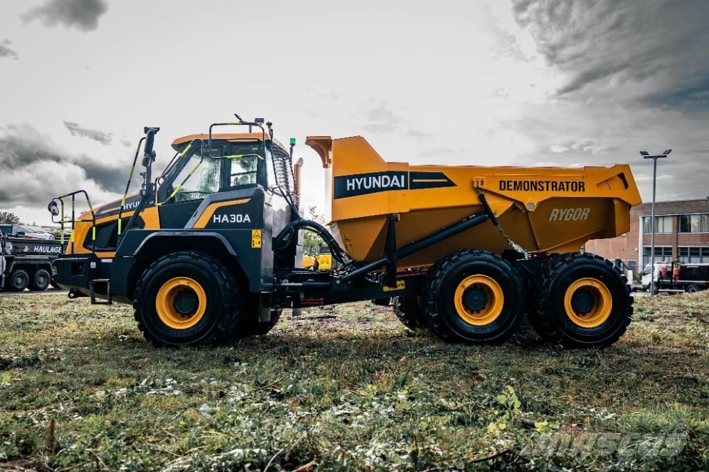 Hyundai HA 30 A Zglobni demperi