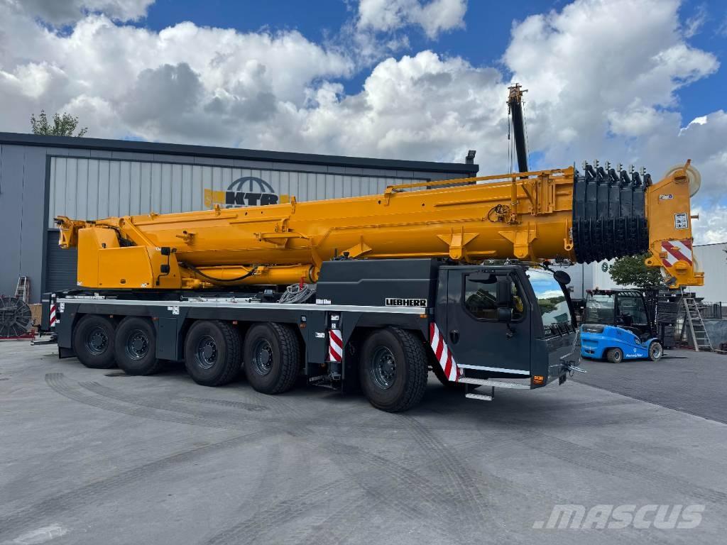 Liebherr LTM1230-5.1 Rabljene dizalice za težak teren