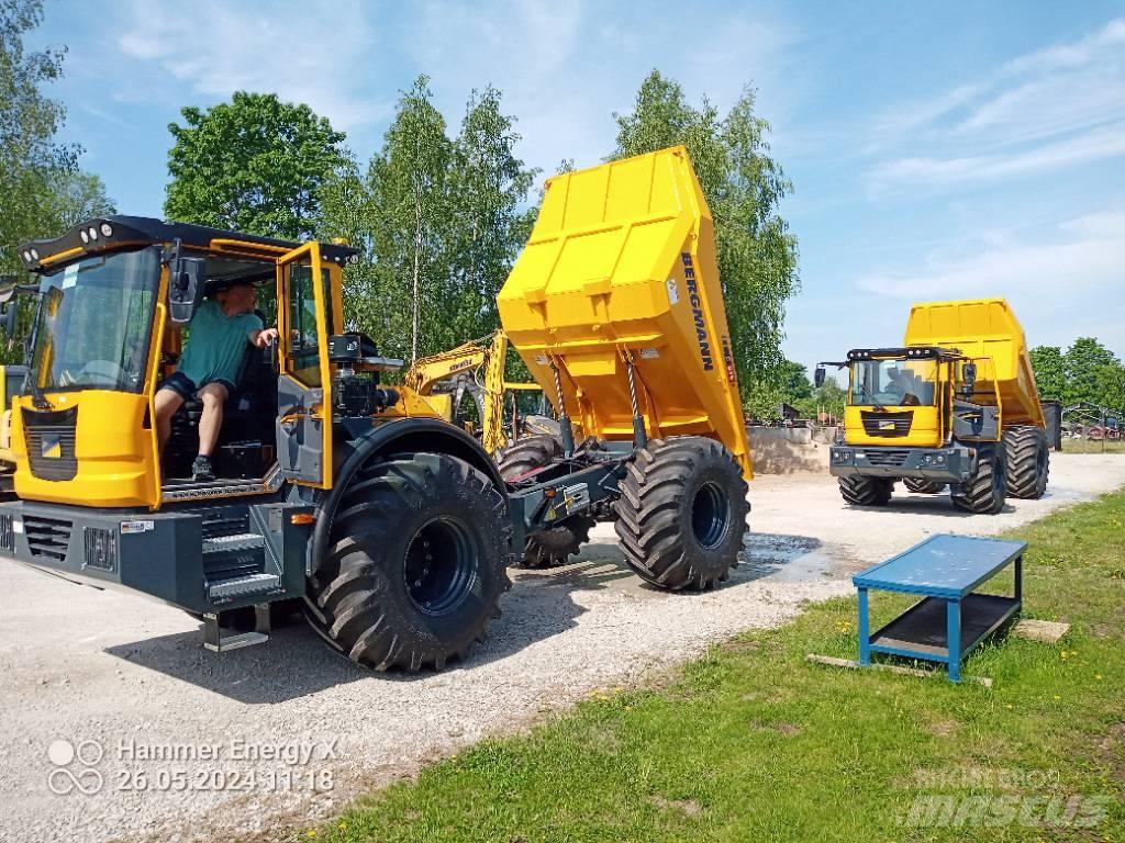 Bergmann C815S Zglobni demperi