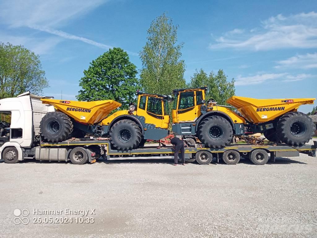 Bergmann C815S Zglobni demperi