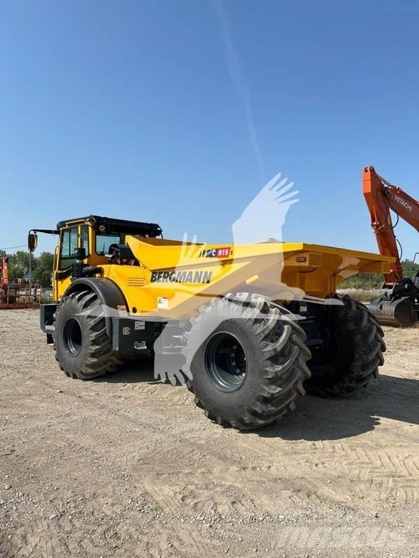 Bergmann C815S Zglobni demperi