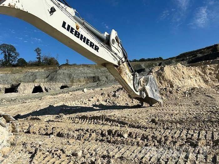 Liebherr R9100 Specijalni kopači