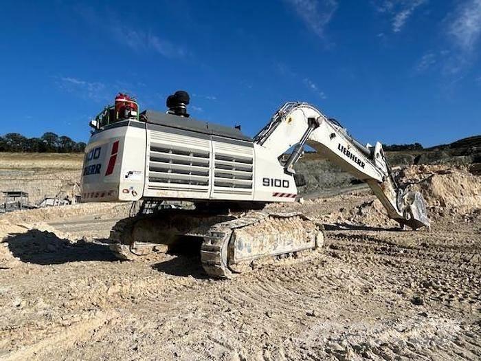 Liebherr R9100 Specijalni kopači