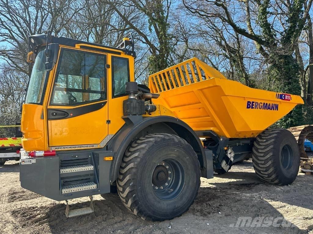 Bergmann C815S Zglobni demperi