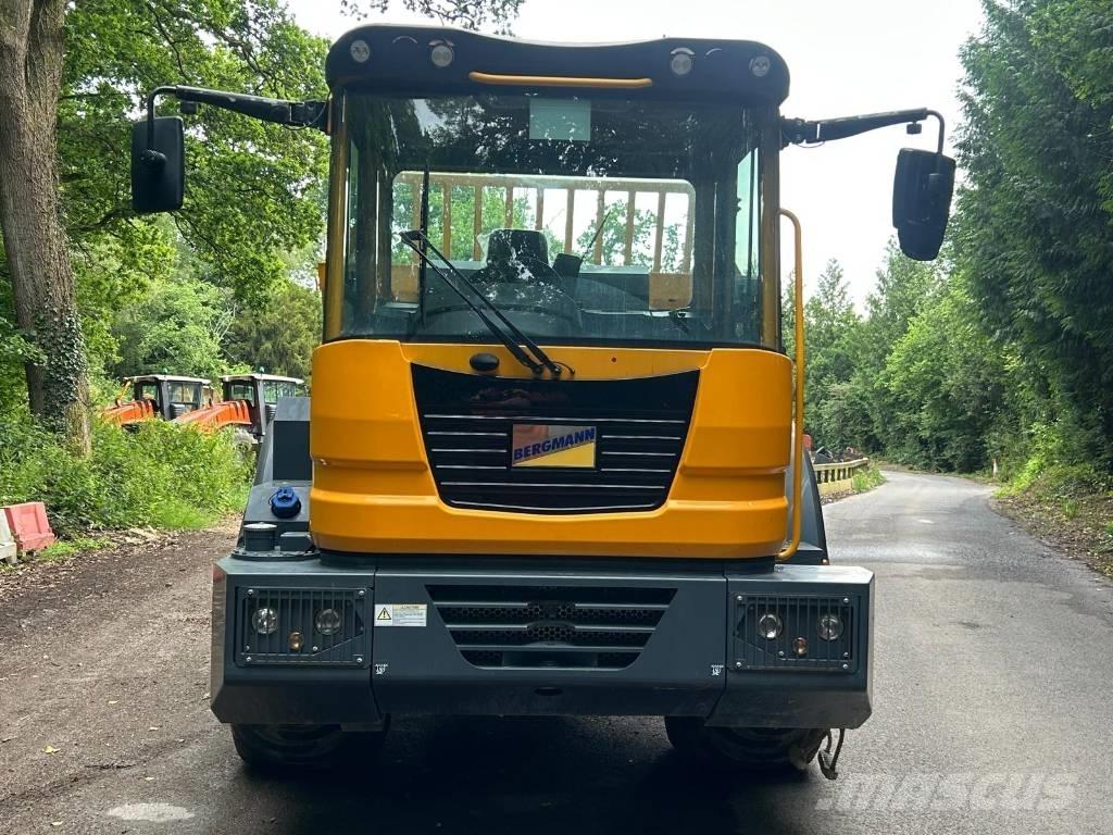 Bergmann C815S Zglobni demperi