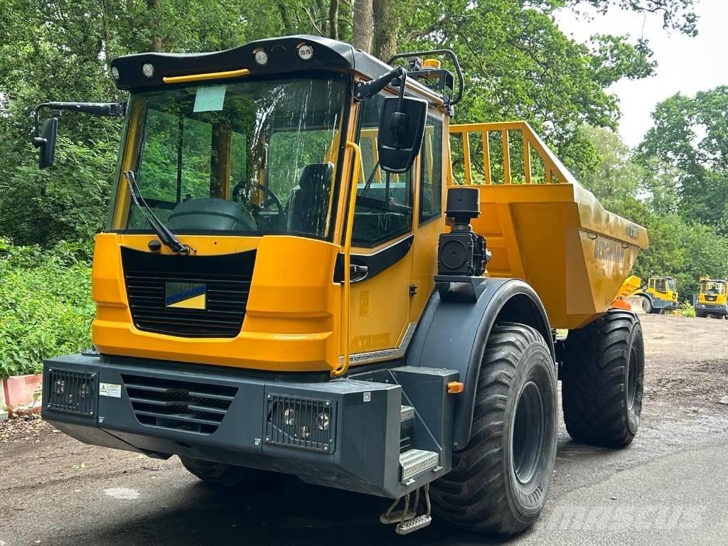 Bergmann C815S Zglobni demperi