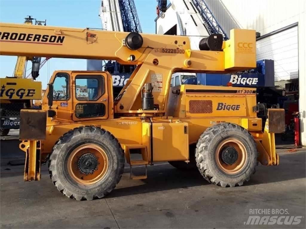 Broderson RT-300 Autokran dizalice