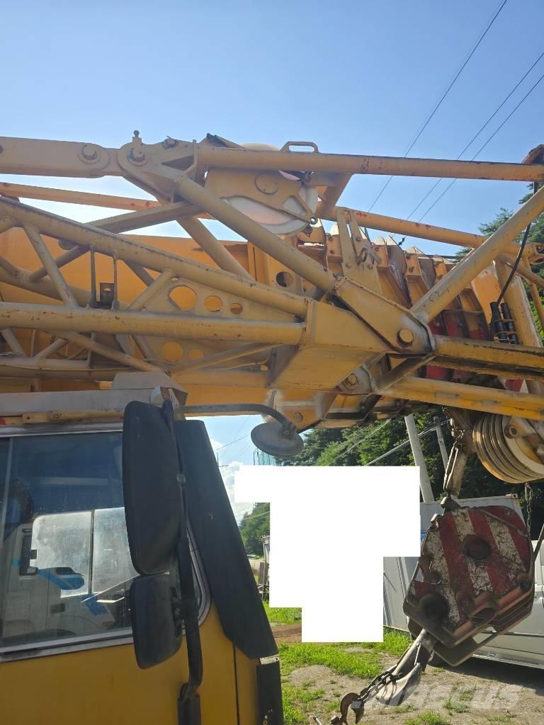 Liebherr LTM 1090 Rabljene dizalice za težak teren