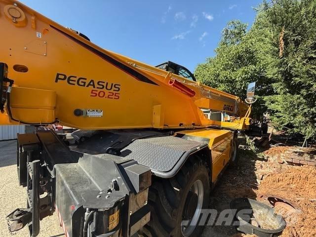 Dieci Pegasus 50.25 Teleskopski viličari
