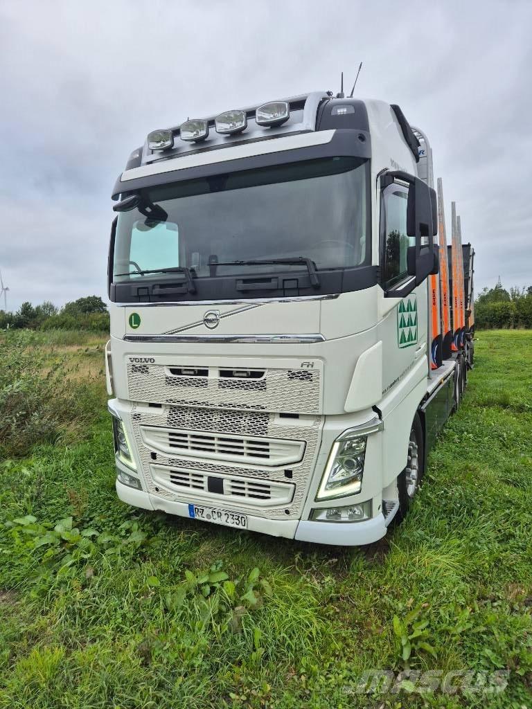 Volvo FH 460 6x4 Kamioni za drva