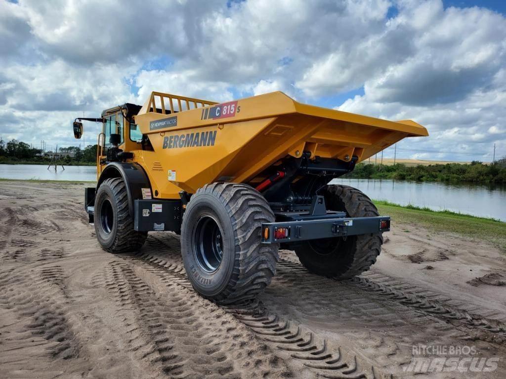 Bergmann C815S Zglobni demperi