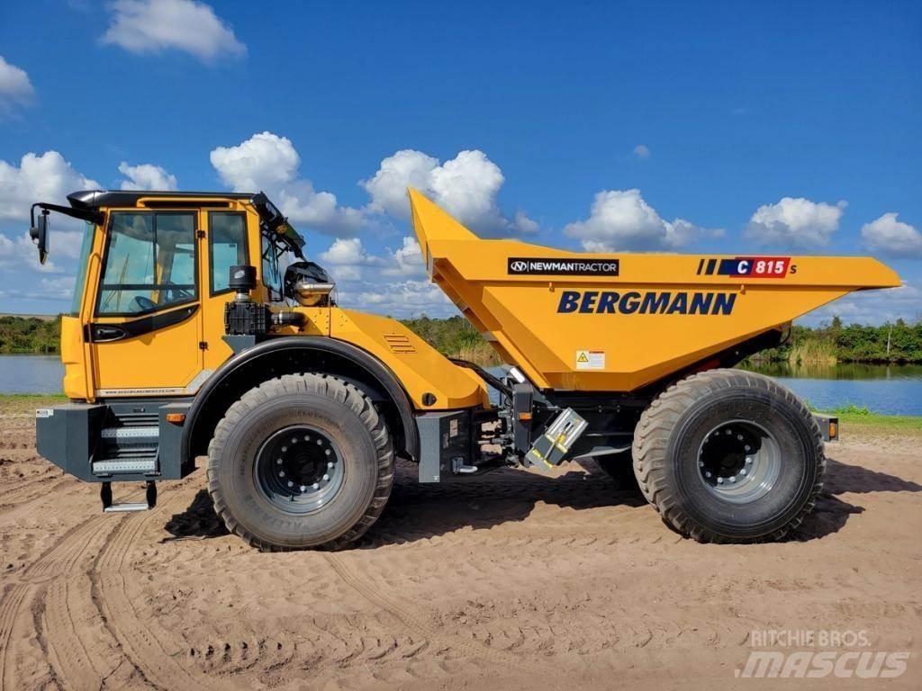 Bergmann C815S Zglobni demperi
