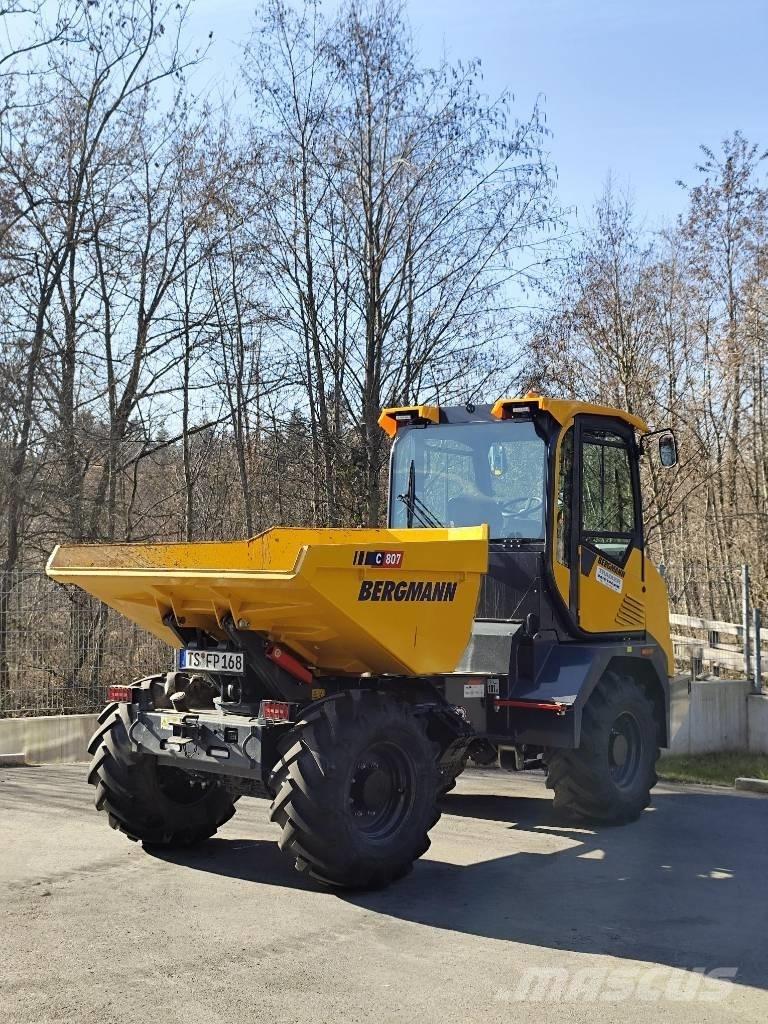 Bergmann C 807 S Zglobni demperi