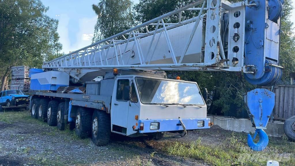 Liebherr LT 90 Rabljene dizalice za težak teren