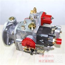 Cummins 4951451-20 Motori