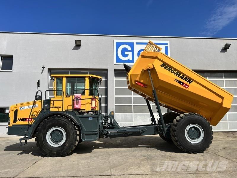 Bergmann 5025 HK Zglobni demperi