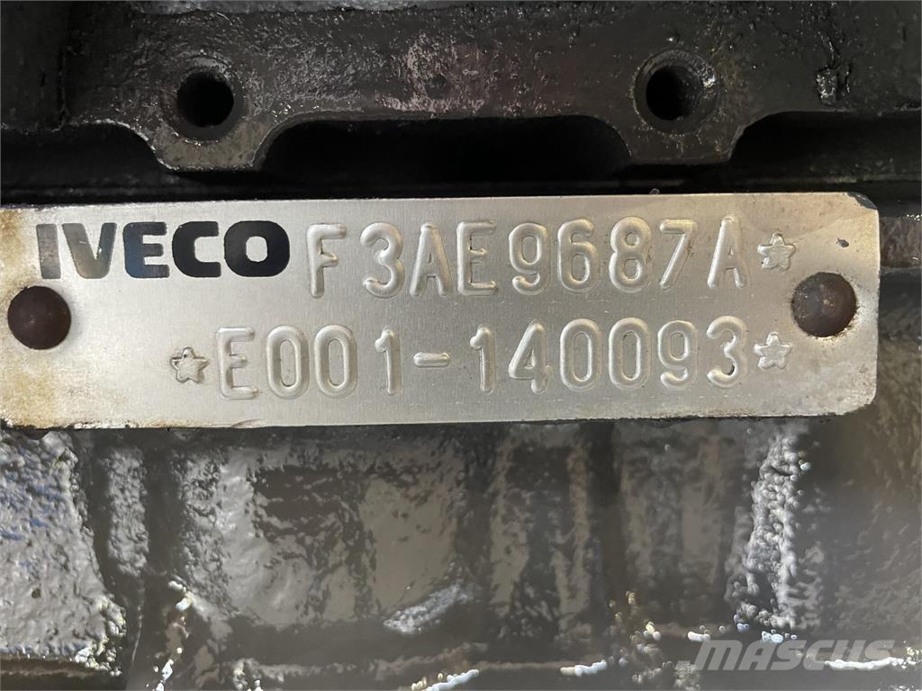 Iveco F3AE9687A motor Motori