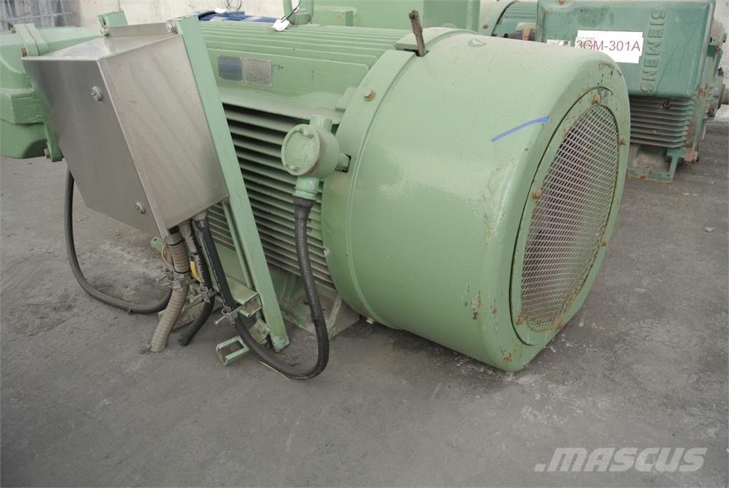 Siemens CGZZ Industrijski motori