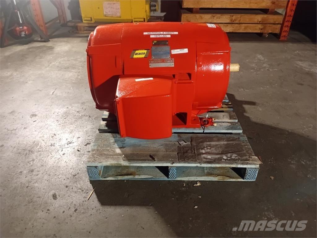 Westinghouse  Industrijski motori