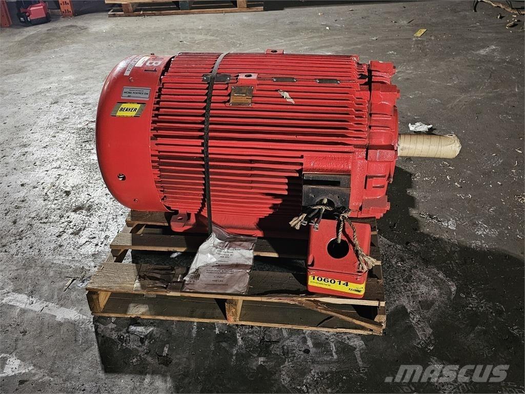 Westinghouse HSBN Industrijski motori