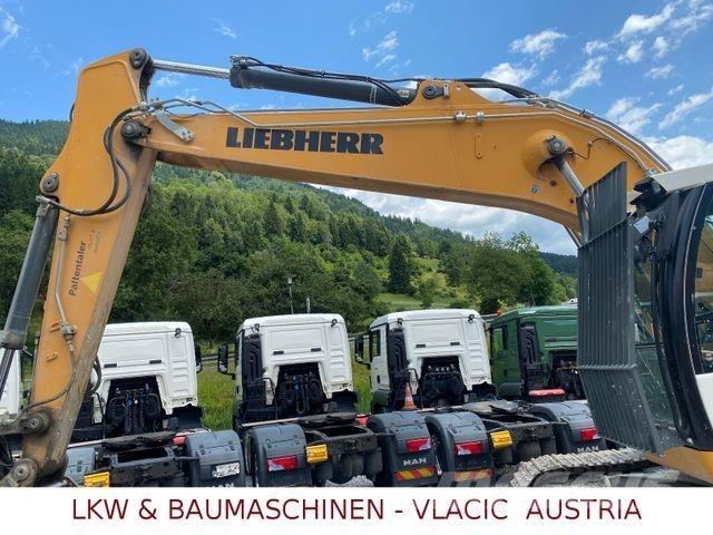 Liebherr R 924 LC Bageri gusjeničari