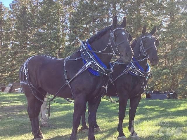  Percheron Team Građevinarstvo – ostalo
