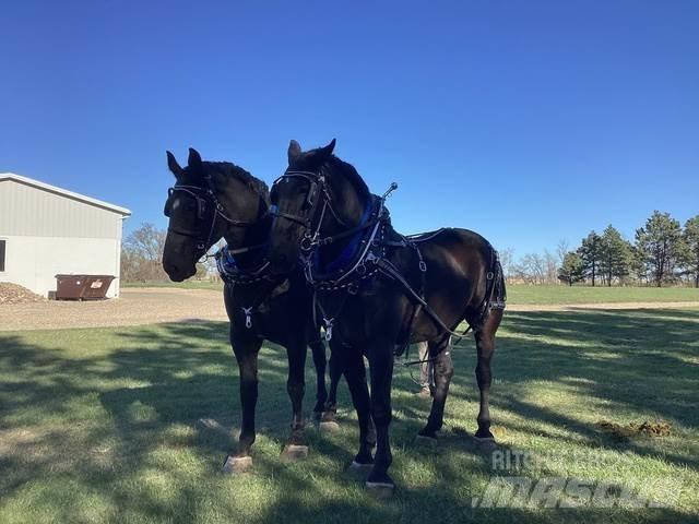  Percheron Team Građevinarstvo – ostalo