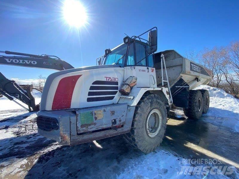 Terex TA30 Zglobni demperi