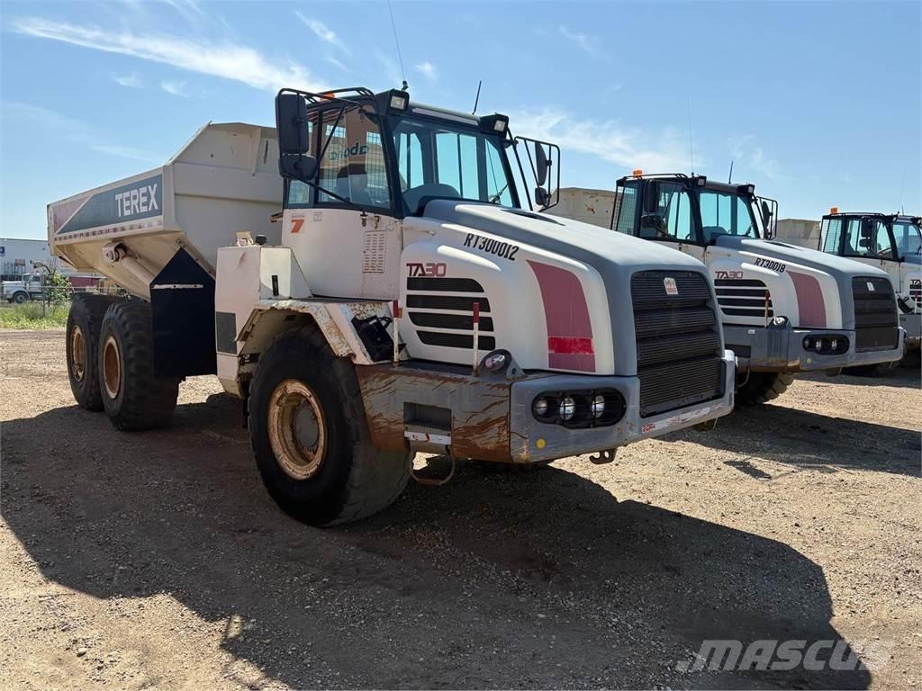 Terex TA30 Zglobni demperi