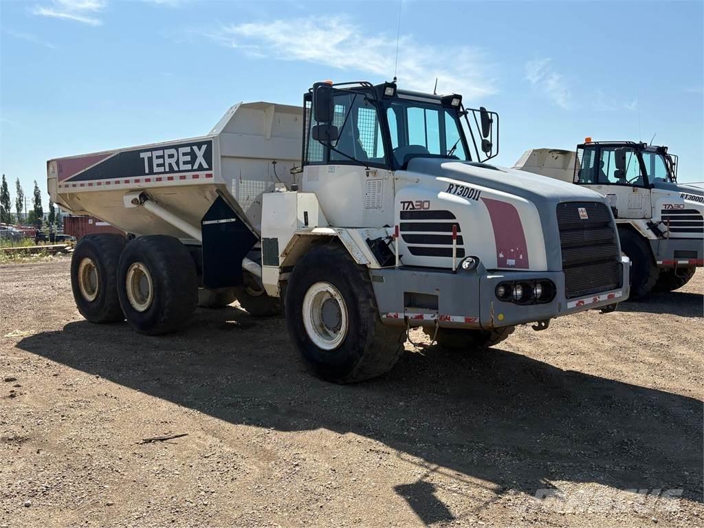 Terex TA30 Zglobni demperi